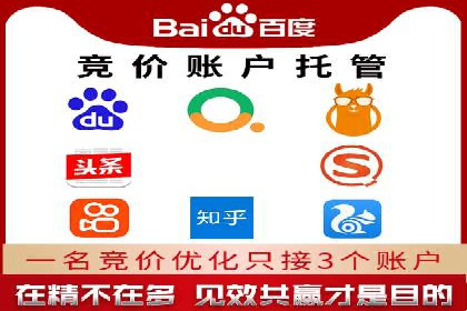 成功SEM托管案例：流量与转化双赢